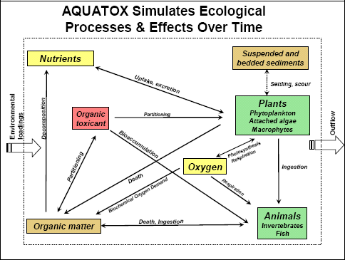 AQUATOX simulates ecological processes and effects over time