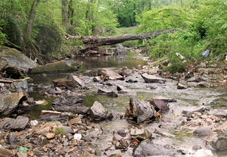 Proctor Creek Watershed/Atlanta (GA)