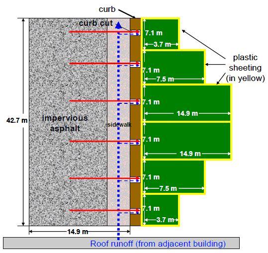 Edison Rain Garden Schematic