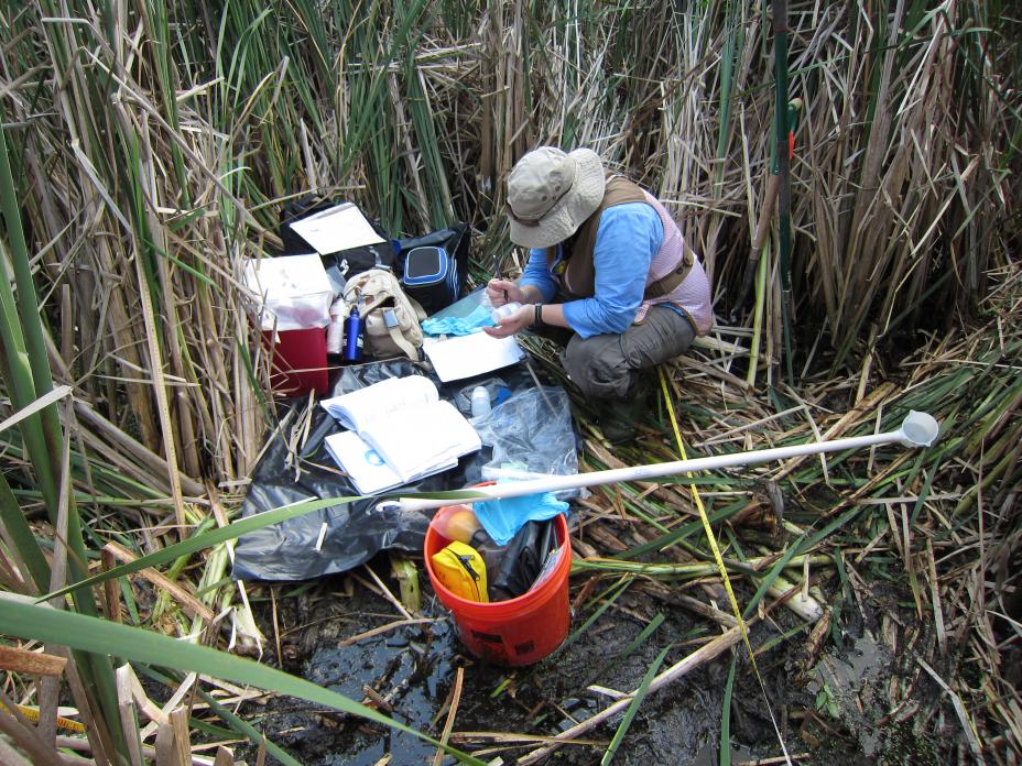 Surrounded by samples, forms and equipment, a researcher pauses to record data. 