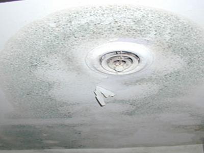 Mold surrounding air conditioning vent in ceiling due to water leak.