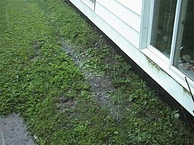 Moisture issue: Rainwater is falling and collecting near the foundation of this house.