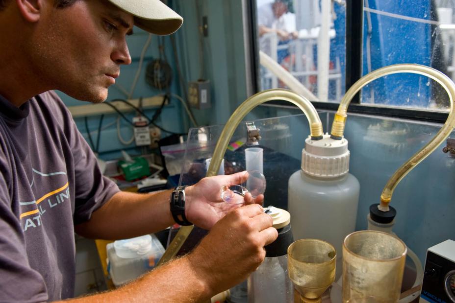 Coastal water samples are filtered and preserved in the laboratory.