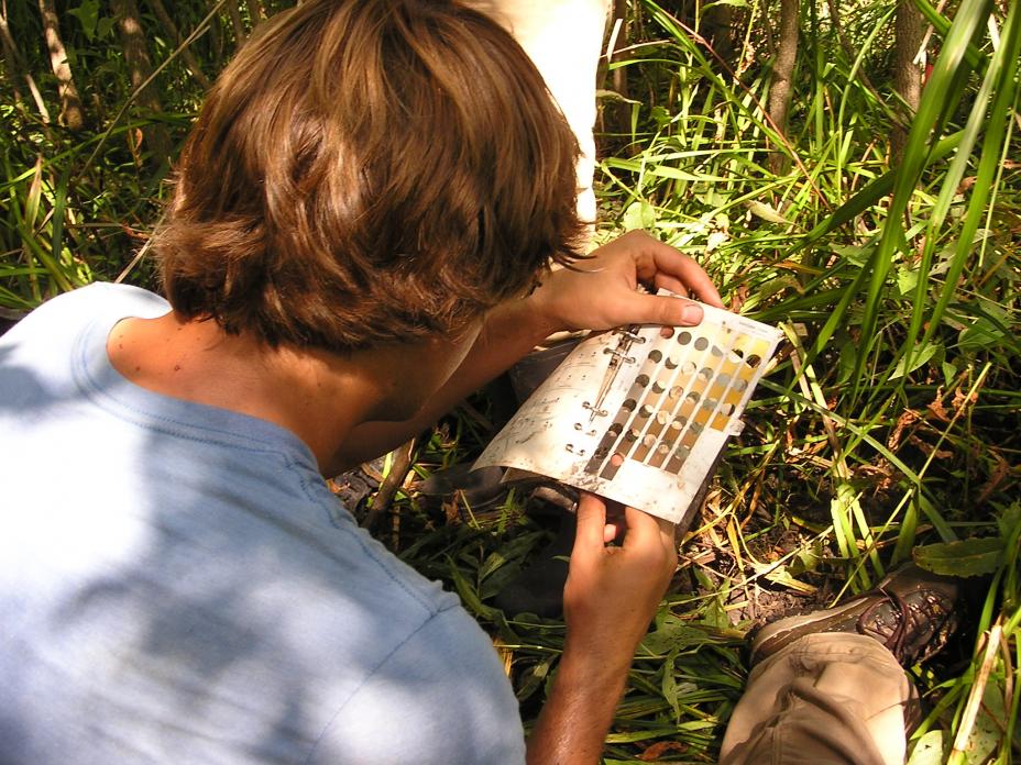Evaluating soil types with the help of a Munsell soil color chart provides important information about the function of wetlands.
