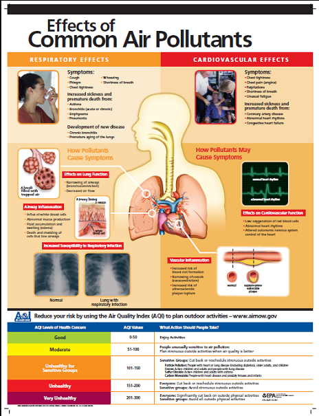 Common pollutants poster