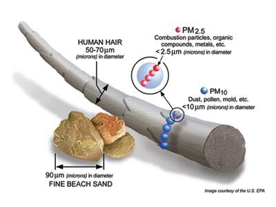 The diameter of both fine and coarse particle pollution is smaller than the diameter of a human hair.