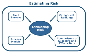 Estimating Risk