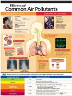 Cover of brochure showing air pollutants' effects on the lungs