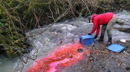 Jana adds a small amount of nitrate and a red dye to a stream 