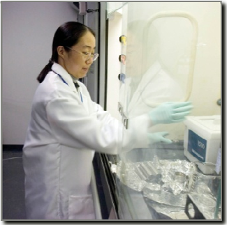 Scientist working with contaminants in a lab