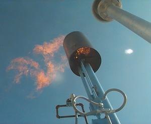 Photo of a biogas flare and flame.