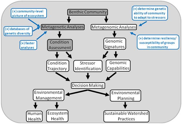 DNA Barcoding Flow