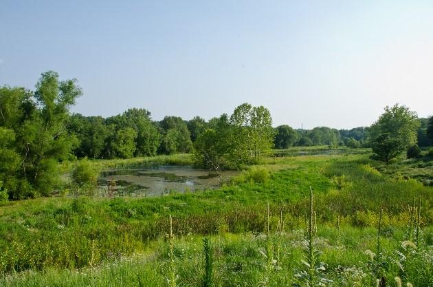 Hinkson Creek Watershed