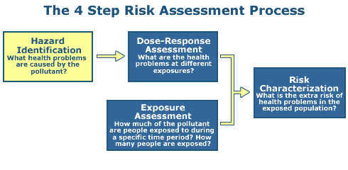 This diagram illustrates the four (4) steps to a Human Health Risk Assessment Process, this one highlighting hazard identification as step 1.
