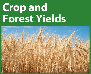 Crop and Forest Yields