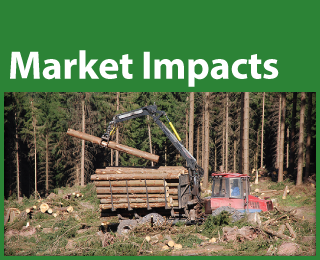 Market Impacts