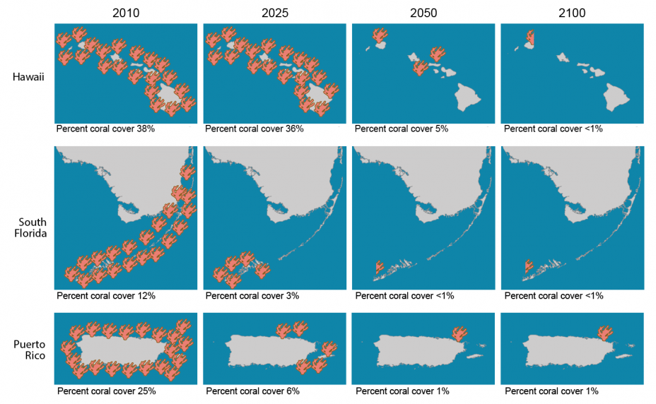 Infographic of representative maps showing the projected coral reef cover over time in Hawaii, South Florida, and Puerto Rico.