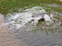 Photo: Water rushing out from a storm drain and flooding the surrounding area
