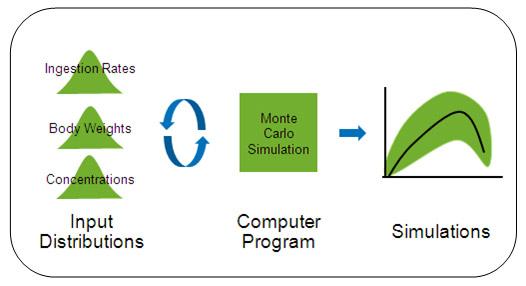 Input Distributions, Computer Program and Simulations