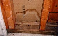 Water stain on a basement wall — locate and fix the source of the water promptly.