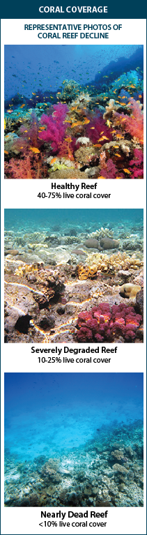 Infographic with representative photos of coral reef decline. One photo shows a health reef, with 40-75% live coral cover. A second photo shows a severely degraded reef, with 10-25% live coral cover. Lastly, a third photo shows a nearly dead reef, with less than 10% live coral cover.