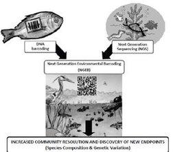 Environmental barcoding and robust biodiversity measures will improve environmental assessments.