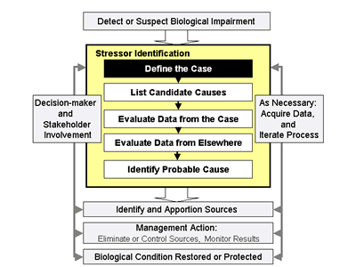 Figure 1-1.  Illustration of where Step 1: Define the Case fits into the Stressor Identification process.