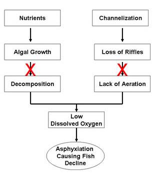 Fig 3. Low dissolved oxygen can be eliminated as a possible cause in this simple example because no excess algal growth or loss of riffles that aerate water were observed.