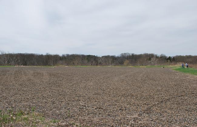 Plant Pile plateau at Ambler Asbestos site