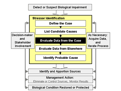 Fig 3-1. Illustrates where Step 3: Evaluate Data from the Case fits into the Stressor Identification process.