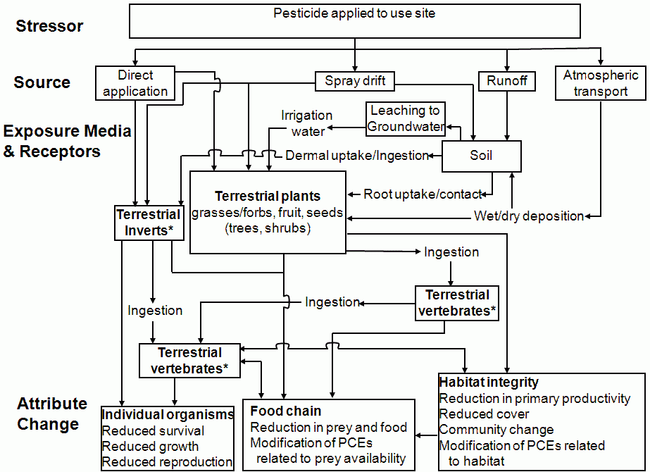 graphic depiction of generic terrestrial exposure pathways