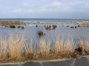 During the Noreaster in 2007 at the Gardner Road Seawall (Photo Credit - Buzzards Bay National Estuary Program)
