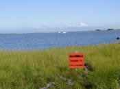 No Shellfishing Sign (Photo Credit - Buzzards Bay National Estuary Program)