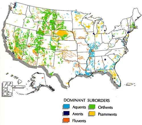 map of U.S. indicating areas of the 5 dominant suborders of entisols: aquents, arents, fluvents, orthents, and  psamments.
