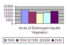 Illustration of an environmental indicator showing submerged vegetation.