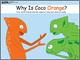 Cover of Why is Coco Orange?
