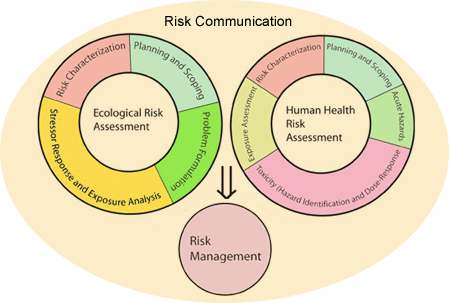 Illustration showing the relationship between a human health risk assessment/ecological risk assessment and risk management and risk communication.