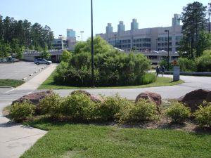 Photo of bushes in front of EPA’s Main Building in Research Triangle Park, North Carolina
