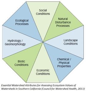 Diagram of Ecosystems. Social Conditions, Ecological Processes, Hydrology/Geomorphology, Biotic Conditions, Economic Conditions, Chemical/Physical Properties, Landscape Conditions, Natural Disturbance Processes