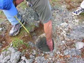 Wetlands forensics: EPA's Dr. Robert Leidy examines the soil profile of the buried wetland. Note the high water table percolating up into the hole.