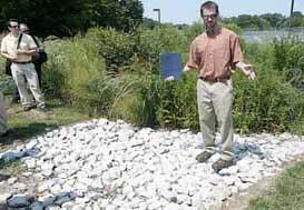 Scientist surveys green infrastructure feature 