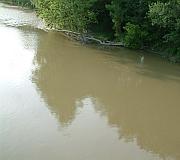 Photo of a river showing sediment in the water so the river floor is not visible.
