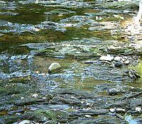 Photo showing exposed rocks in a more turbulent section of a river or stream.