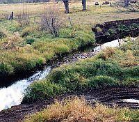 Photo showing a river meandering through brush and farmland. Patterns on the banks indicated high and low levels of flow and erosion over time.