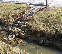 Photo of a stream caused from a parking lot run-off into a natural stream.