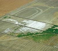 Photo showing dryland salinity on agricultural fields.