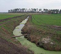 Photo showing farming land runoff into ditches and streams.