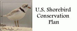 U.S. Shorebird Conservation Plan