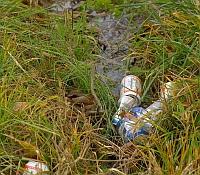 Photo illustrating how trash can impaired a ditch with a sheen and sludge which suggests a chemical contamination.