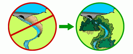 Illustration showing plants lining a river bank reducing erosion